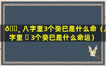 🕸 八字里3个癸巳是什么命（八字里 ☘ 3个癸巳是什么命运）